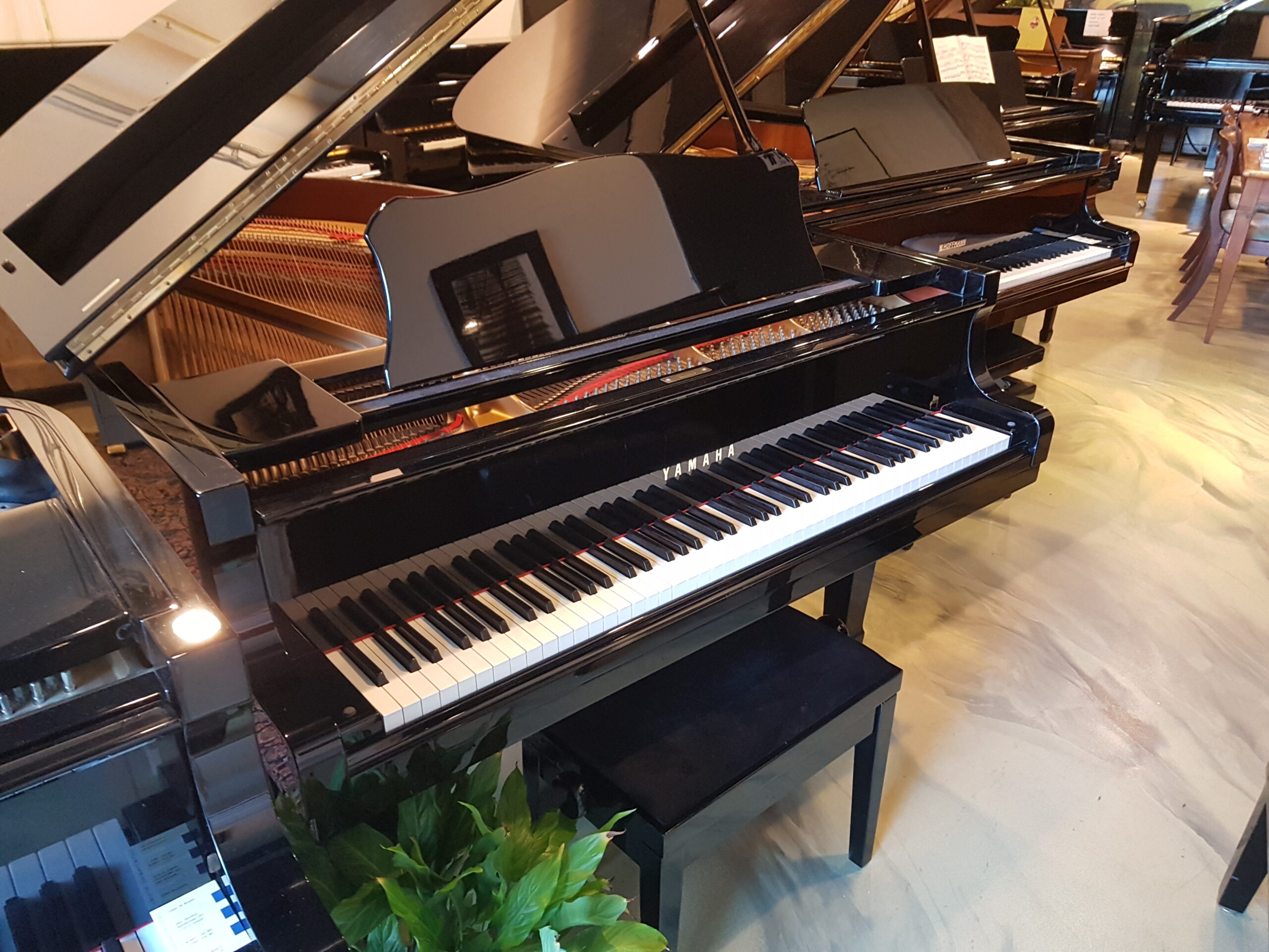 Yamaha vleugel C3, zwart hoogglans 3e pedaal, Zeer mooi instrument.  €  10900.-