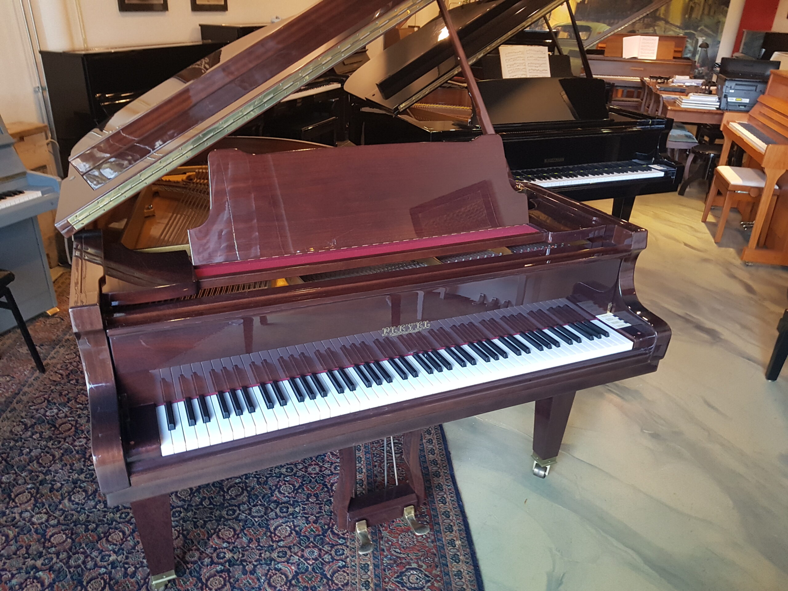 Duitse vleugel Schimmel / Pleyel 174, mahonie hoogglans. Renner mechaniek  €  7990,-